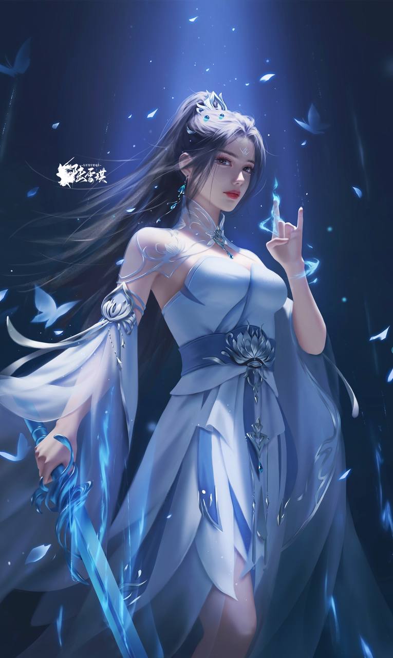 会问题的解